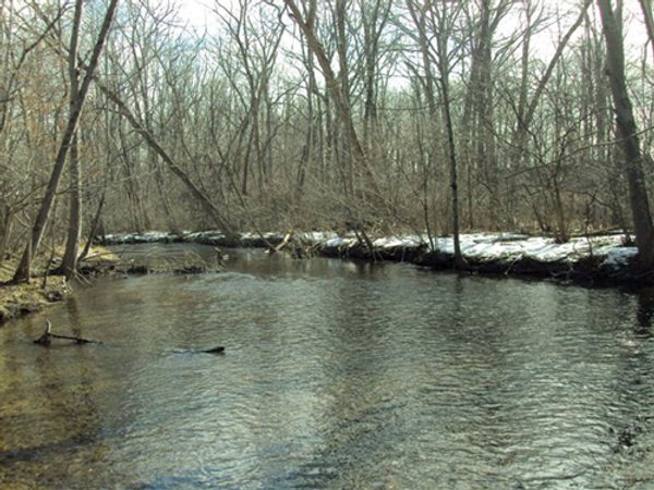66 Acres Offered in 3 Tracts